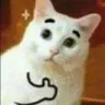 Cat Thumbs Up catthumbsup Discord Emoji