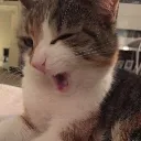 wink