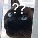 cococonfused cococonfused