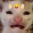 cat_aaa