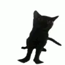 Dancing
