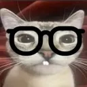 litorilly