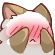 ShyKitty ShyKitty