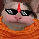 HELL_billu_cat_bajrangdal Discord Emoji