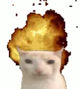 cat_exploding