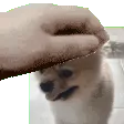 emoji_1