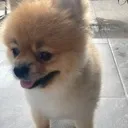 emoji_16