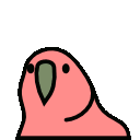 Iyyy