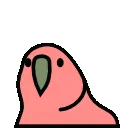 Iyyy