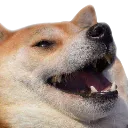 hehehe