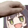 KyaruPet