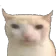 stare stare