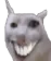 catsmile