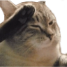 salute Discord emoji