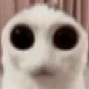 scared