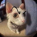 cb_cat_huh Discord emoji
