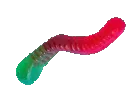 worm