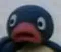 pingu