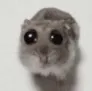 ratcreachure