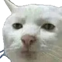 canloi