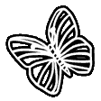 White_butterfly