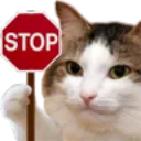 stopcat