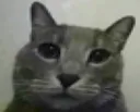bruh bruh