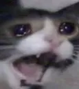 NOOOOO