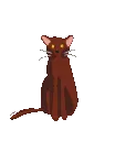 browncatmeow