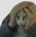 ohno