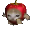 applekitty