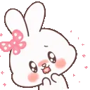 1565bunnyblush