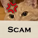 loonyscam