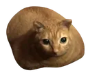 loafcat Discord Emoji