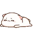 AMcatlazy