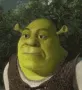 shrek_tf