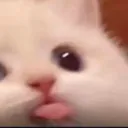 blep
