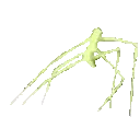 StickBug