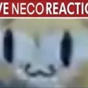 live_neko live_neko