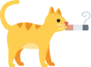 catsmoke