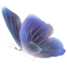aa4