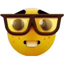 2_nerd