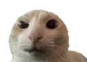 AYOOOOO Discord emoji