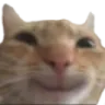 akarusmile