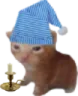RobertHonkShoo