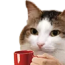 cat_relaxing Discord Emoji