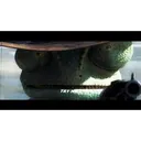 video_image9xnqHOWBi