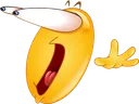 hooly hooly