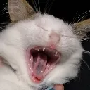 ollieScream ollieScream