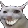catgrin